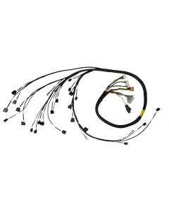 Rywire 02-04 K-Series RWD Mil-Spec Eng Harn w/02-04 Wiring/K-Pro/S2K Tran/K-Ser TB/Int (Adapter Req) buy in USA