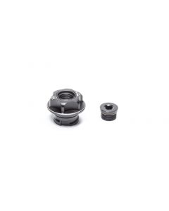 Radium Engineering GM LS Oil Cap buy in USA