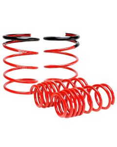 Skunk2 02-04 Acura RSX Lowering Springs (2.25in - 2.00in.) (Set of 4) buy in USA