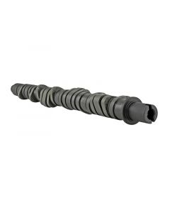 Skunk2 Tuner Series D-Series Honda Stage 2 Camshaft buy in USA