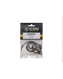 ICON 2.0 IFP Rebuild Kit buy in USA