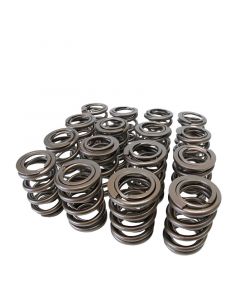 Skunk2 Tuner Series Honda/Acura (B16A/ B17A/ B18C) DOHC VTEC Alpha Valve Spring Set (Dual Springs) buy in USA