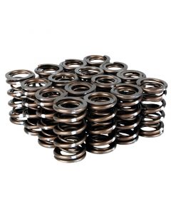 Skunk2 Pro Series Honda/Acura B-Series VTEC XP Valve Spring Set (Dual Springs) buy in USA