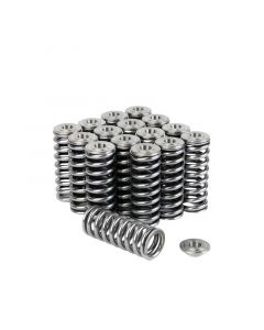 Skunk2 Alpha Series Honda/Acura D Series Valve Spring and Titanium Retainer Kit buy in USA