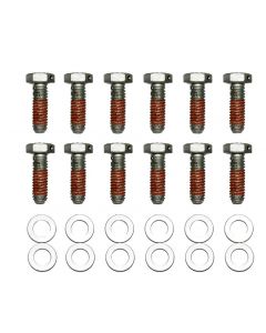 Wilwood Bolt Kit - 5/16-18 x 1.00 LG - 12 pk buy in USA