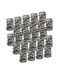 Supertech BMW M50/M52/S50/S52 Dual Valve Spring - Set of 24 buy in USA