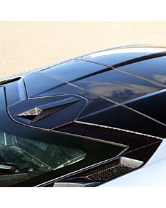 Chevrolet Corvette C8 Carbon Fiber Rear Deck Lid Overlay buy in USA