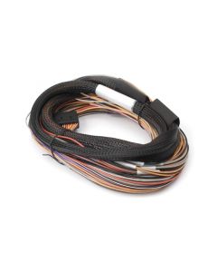 Haltech IO 12 Expander Box 8ft Flying Lead Harness (A/B Box) buy in USA