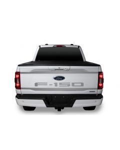 Putco 2021 Ford F-150 Ford Lettering (Cut Letters/Stainless Steel) Tailgate Emblems buy in USA