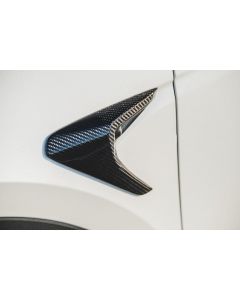 Tesla Model Y Carbon Fiber Camera Cover buy in USA