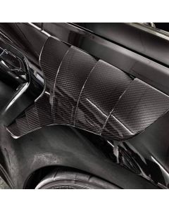 Carbon Kotflügel passend für BMW M2 F87 buy in USA
