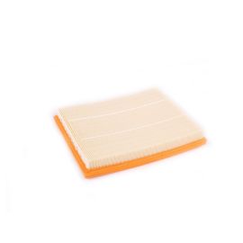 Genuine Air Filter Element 13 71 7 602 643