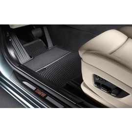 Echte Illuminierte Einstiegsleiste hinten rechts für BMW 5er