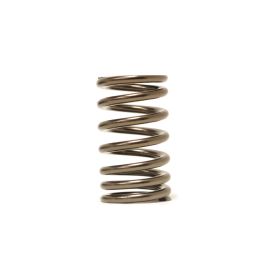 Tomei 4G63 Valve Springs for Evo/DSM (TA304A-MT01A)