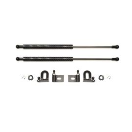 GReddy Carbon Fiber Hood Damper for Evo X (18530101)