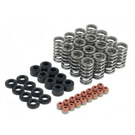 2016-2021 Civic SI 1.5T L15B7 Skunk2 Valve Spring Kit