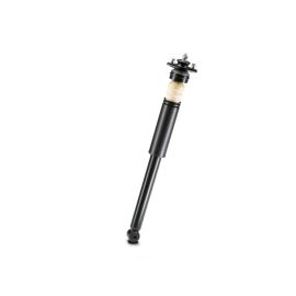 Genuine Rear Suspension Spring Strut Shock Absorber 33 52 2 282 507