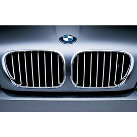 Genuine Exterior Front Right Kidney Grille Titanium 51 13 8 250 052