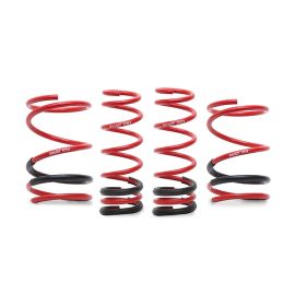 Swift Sport Lowering Springs for 2009-2010 R35 GTR (4N017)