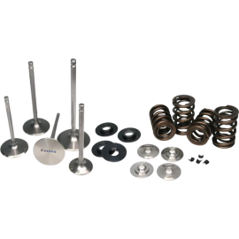 Ferrea Acura K20 Endurance Dual Spring Kit