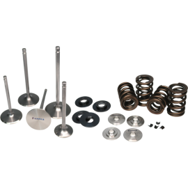 Ferrea Acura/Honda B18/B16 Drag Race Dual Spring Kit