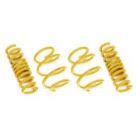 AST Suspension Lowering Springs for 2018+ Trackhawk