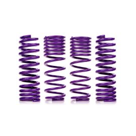 D2 Lowering Springs for Mitsubishi Evo X (D-SP-MT-24)