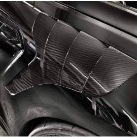Carbon Kotflügel passend für BMW M2 F87