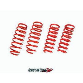 Tanabe Lowering Springs