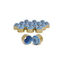 GSC 4G63 Evo DSM Valve Stem Seals (1002)