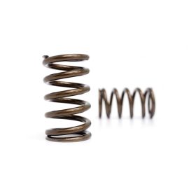 Kelford EJ WRX/STi Valve Springs (KVS109-STi)