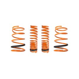 Megan Racing Lowering Springs for 3000GT AWD (MR-LS-M3GT)