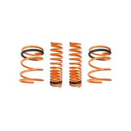 Megan Racing Lowering Springs for 1G DSM AWD (MR-LS-ME89)