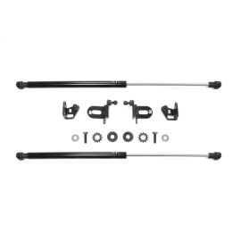 Rexpeed Black Series Hood Dampers for USDM R35 GTR (N06B)