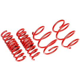 AST 2023+ BMW M2 (G87) Lowering Springs