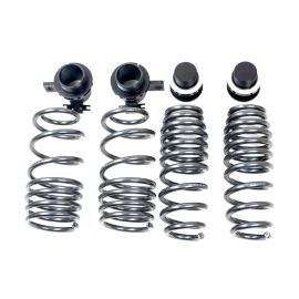 AST Adjustable Lowering Springs for F8X BMW M2/M3/ M4 (ASTALS-21-001)