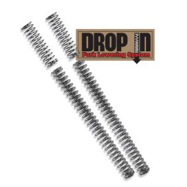 Progressive 10-2002 Drop In Fork Lwrng Kit