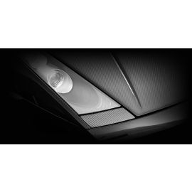 Lamborghini Gallardo - Tecnocraft Carbon Fibre Headlight Washer Covers