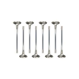 GSC 4B11 Evo X Intake Valves