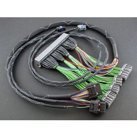 Haltech Elite PnP Harness - RZR XP 1000