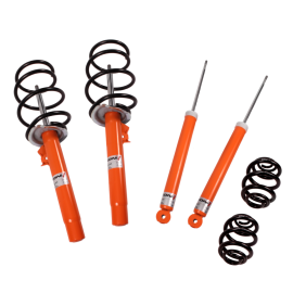 Koni 1125 STR.T Kit 03-05 Honda Accord/04-08 Acura TL 6 CYL