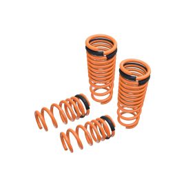 Megan Racing Lowering Springs for Nissan R35 GTR (MR-LS-NR35)