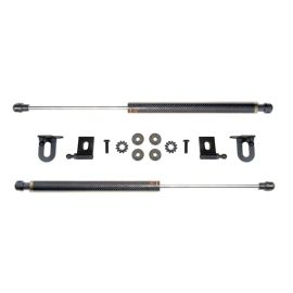 Prosport Carbon Fiber Hood Dampers for Evo X (HD-MITS-EVO-10)