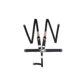 RaceQuip 5-Point HANS/HNR Latch & Link Harness Set (717007)