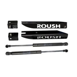 Roush Haubenstützen für 2005-2014 Ford Mustang (ohne GT500)