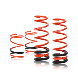 Swift Sport Springs: GTR 2015-2016