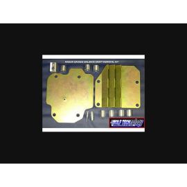 JWT Balance Shaft Removal Kit