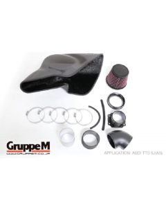 Gruppe M Carbon Air Intake Kit for Audi TTS 8J Quattro 2.0TFSi (FRI-0196) buy in USA