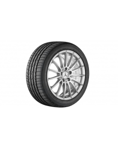 Multi-spoke wheel, 43.2 cm (17 inch), CLS, 245/45 R17/, vanadium silver, A21840105007X45 buy in USA