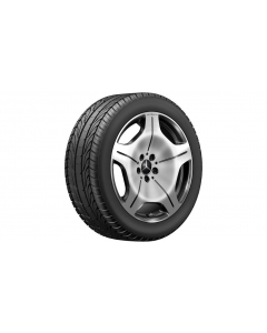 5-hole wheel, 48.3 cm (19-inch), high-sheen, S-Class, 255/45 R19/, black, A22340156009Y73 buy in USA